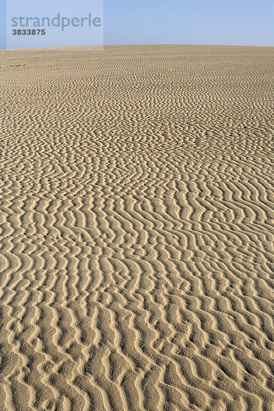 Sandwellen im Naturpark Dünen von Corralejo   Fuerteventura   Kanarische Inseln