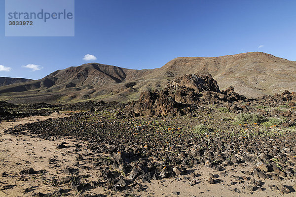 Hornitos in Los Toneles   Barranco Valle de la Cueva   Fuerteventura   Kanarische Inseln