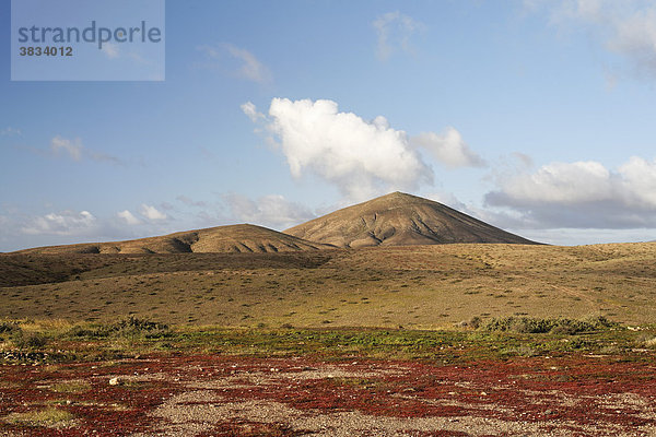 Landschaft nahe Tuineje   Fuerteventura   Kanarische Inseln