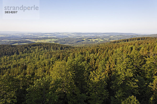 Steinwald   Blick von Burgruine Weißenstein   Oberpfalz Bayern