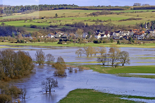 Frühjahrshochwasser im Lahntal mit überschwemmten Wiesen und Weiden  Hessen  Deutschland