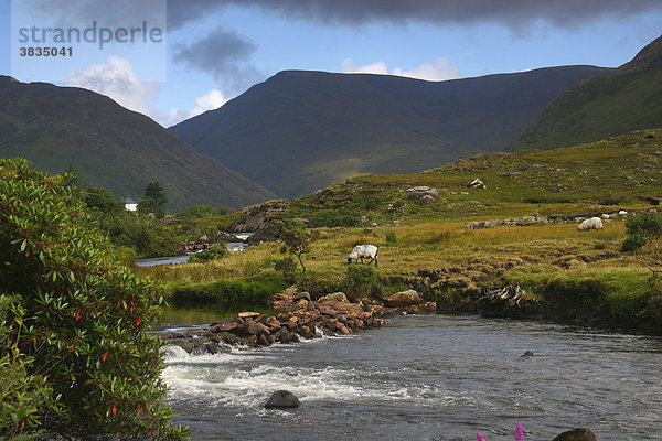 Delphi / Irland / Connemara