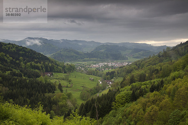 Aussicht ins Kinzigtal und auf die Ausläufer von Gengenbach  Baden-Württemberg  Deutschland  Europa