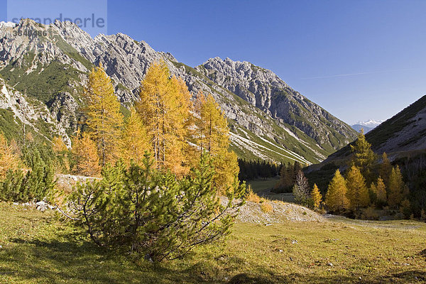 Herbst  Hahntennjoch  Tirol  Österreich  Europa