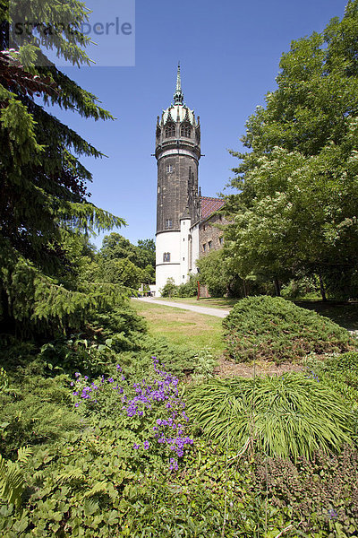Die Schlosskirche  Lutherstadt Wittenberg  Sachsen-Anhalt  Deutschland  Europa