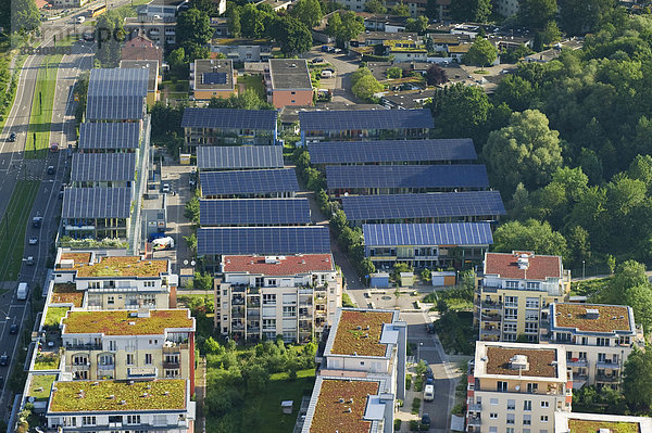 Luftaufnahme von begrünten Dächern und den Dächern der Solarsiedlung  Vauban-Viertel  Freiburg im Breisgau  Baden-Württemberg  Deutschland  Europa