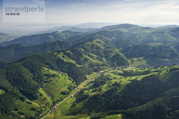 Luftaufnahme vom Wiesental  Südschwarzwald  Baden-Württemberg  Deutschland  Europa