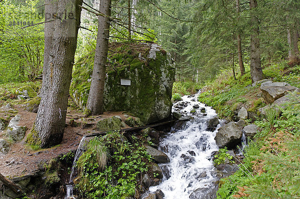 Von Hochwasser bergab geschwemmter Fels  200 t schwer  Bach an der Holzner Mühle  Schenna  Burggrafenamt  Südtirol  Italien  Europe