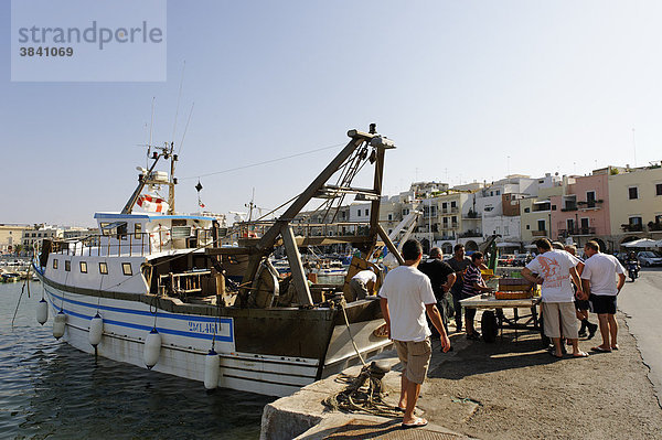 Fischer mit ihrem Fang am Hafen  Trani  Apulien oder Puglia  Süditalien  Italien  Europa