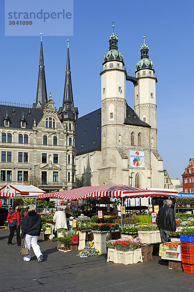 Marktplatz mit Marktkirche  Halle  Sachsen-Anhalt  Deutschland  Europa