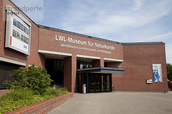 Museum für Naturkunde und Planetarium  Stadt Münster  Münsterland  Nordrhein-Westfalen  Deutschland  Europa
