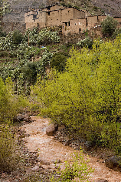 Fluss mit Hochwasser nach starkem Regen mit ausgewaschenem Material von den Bergen  Ourika Fluss  Ourika-Tal  Hoher Atlas  Atlasgebirge  Marokko  Afrika