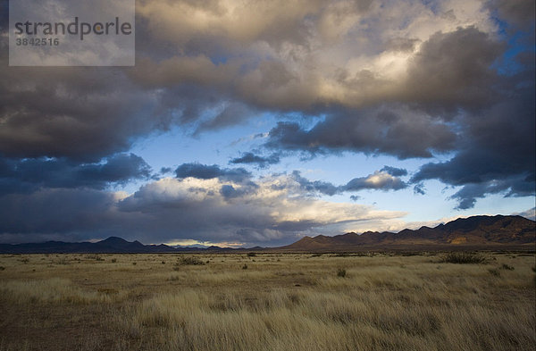 Blick über Graslandschaft und die fernen Berge mit Gewitterwolken am Abend  in der Nähe von Portal  Grenze zu New Mexico  Arizona  USA