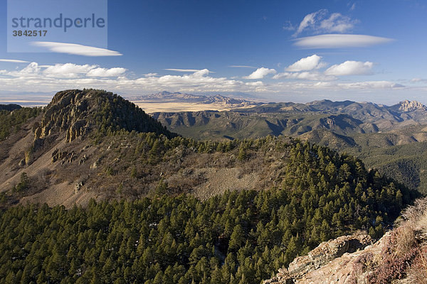 Blick über erodierte vulkanische Felsen  Berge und Wälder  Chiricahua National Monument  Cochise County  Arziona  USA