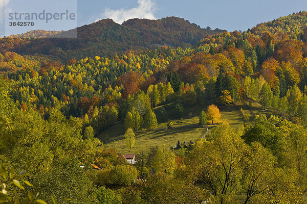 Bewaldete Hügel und Wiesen  Zsil Tal oberhalb von Petrosani  Retezat-Gebirge  Südkarparten  Siebenbürgen  Rumänien  Europa