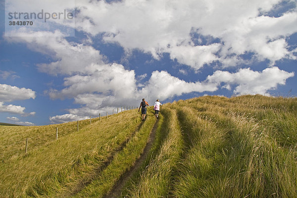 Zwei Wanderer steigen grasbewachsenen Hügel hinauf  Jurassische Küste  in der Nähe von White Nothe  Dorset  England  Großbritannien  Europa