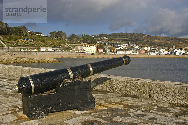 Kanone auf der Strandmauer mit Häusern hinten  Lyme Regis  Dorset  England  Großbritannien  Europa