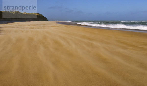 Wind-Erosion  verwehter Sand am Strand  Waipapa  Catlins  Südinsel  Neuseeland