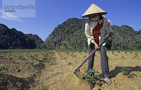 Frau bei der Feldarbeit außerhalb des Kernbereichs des Reservats  Van Lond Naturschutzgebiet  Vietnam  Südostasien  Asien