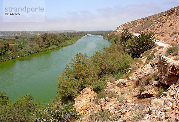 Flusstal an der Küste  Oued Massa  Souss-Massa-Nationalpark  Marokko  Afrika