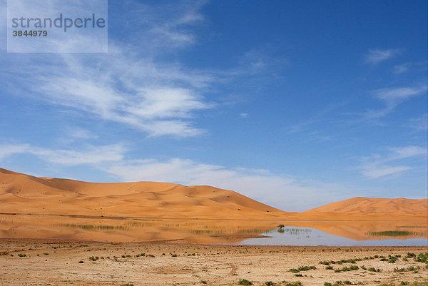 Jahreszeitlich bedingter Wüstensee inmitten von Sanddünen  Sahara  Merzouga  Marokko  Afrika