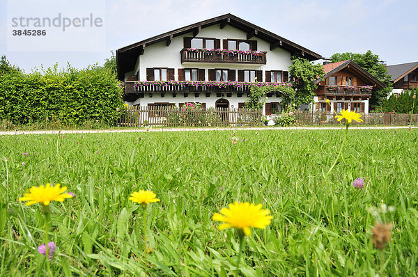 Wohnhäuser auf der Fraueninsel  Chiemsee  Chiemgau  Bayern  Deutschland  Europa