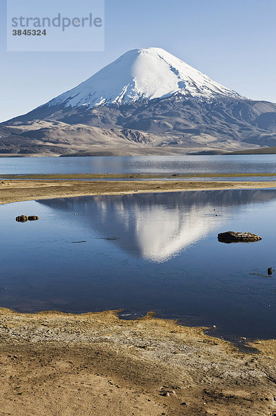 Vulkan Parinacota spiegelt sich im Chungara See  Nationalpark Lauca  UNESCO Biosphärenreservat  Arica and Parinacota Region  Chile  Südamerika