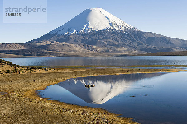 Vulkan Parinacota spiegelt sich im Chungara See  Nationalpark Lauca  UNESCO Biosphärenreservat  Arica and Parinacota Region  Chile  Südamerika