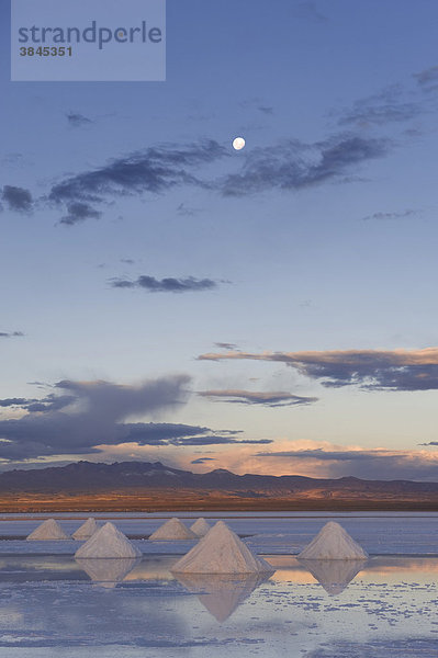 Salzpyramiden  Salar de Uyuni  Potosi  Bolivien  Europa