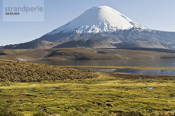 Vulkan Parinacota  Nationalpark Lauca  UNESCO Biosphärenreservat  Arica und Parinacota Region  Chile  Südamerika
