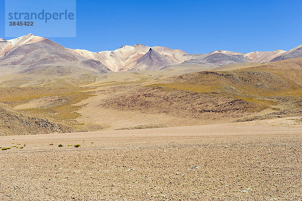 Bolivianische Hochebene  Altiplano  Potosi  Bolivien  Südamerika