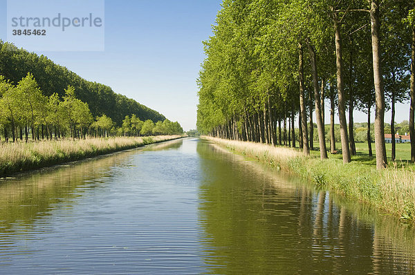 Kanal Damme nach Brügge  Westflandern  Belgien  Europa