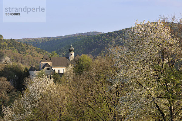 Burg Neuhaus  Triestingtal  Niederösterreich  Österreich  Europa