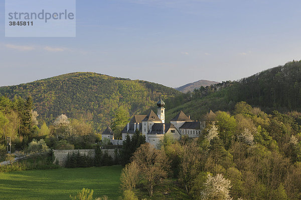 Burg Neuhaus  Triestingtal  Niederösterreich  Österreich  Europa