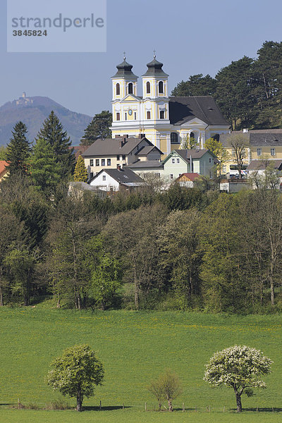 Blick zur Wallfahrtskirche Hafnerberg im Frühling  Triestingtal  Niederösterreich  Österreich  Europa