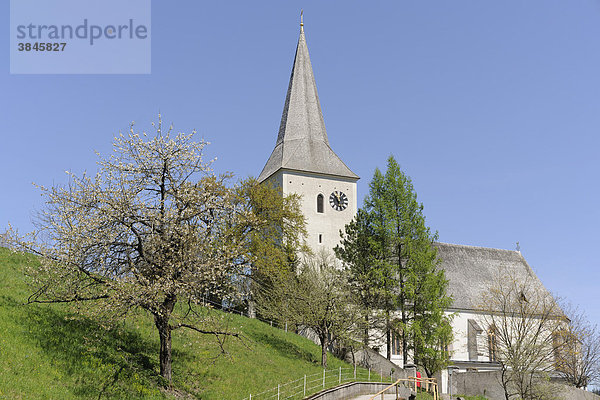 Pfarrkirche  Kaumberg  Triestingtal  Niederösterreich  Österreich  Europa