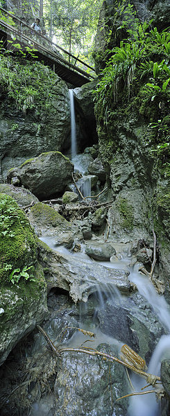 Steiganlage und Wasserfall  Steinwandklamm  Triestingtal  Niederösterreich  Österreich  Europa