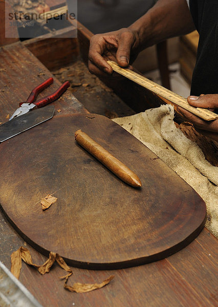 Ausmessen einer frisch gefertigten Zigarre  Zigarrenmanufaktur in Punta Cana  Dominikanische Republik  Karibik