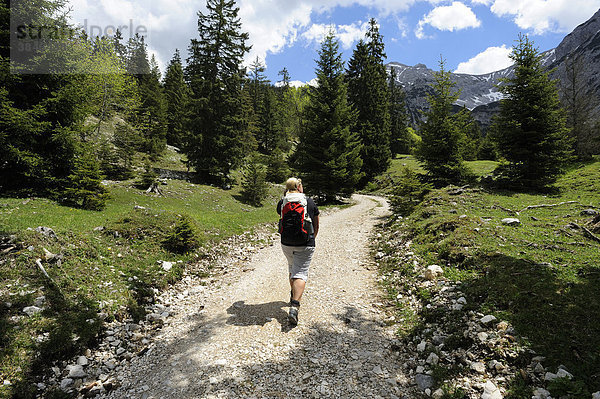 Junge Frau beim Wandern  Aufstieg zum Plumsjoch im Karwendelgebirge  Rissbachtal  Tirol  Österreich  Europa