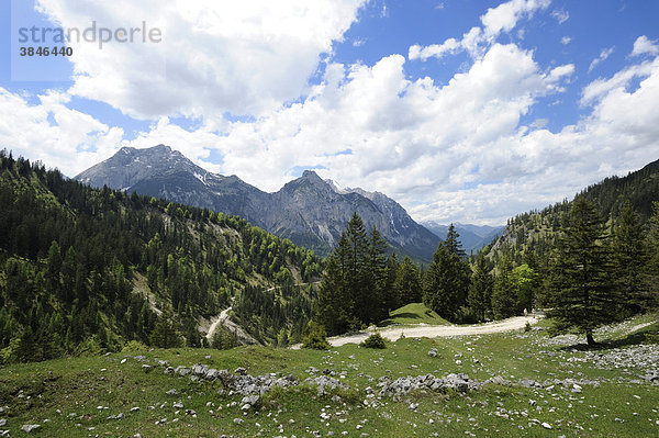Karwendelgebirge  Wanderweg zum Plumsjoch  Rissbachtal  Tirol  Österreich  Europa