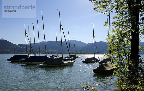 Boote auf dem Tegernsee  Oberbayern  Bayern  Deutschland  Europa