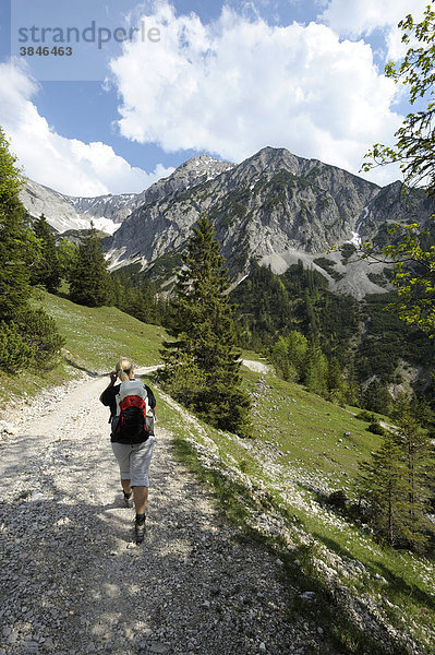 Junge Frau beim Wandern  Abstieg vom Plumsjoch  Rissbachtal  Karwendelgebirge  Tirol  Österreich  Europa