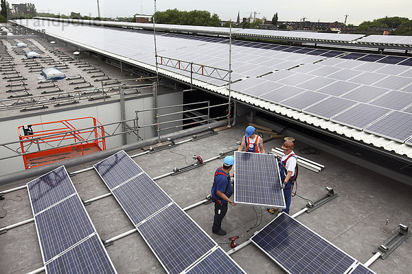 Bau einer großen Photovoltaik-Anlage auf mehreren Flachdächern auf rund 16000 qm Fläche  Gelsenkirchen  Nordrhein-Westfalen  Deutschland  Europa