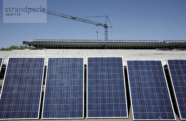 Bau einer großen Photovoltaik-Anlage auf mehreren Flachdächern auf rund 16000 qm Fläche  Gelsenkirchen  Nordrhein-Westfalen  Deutschland  Europa