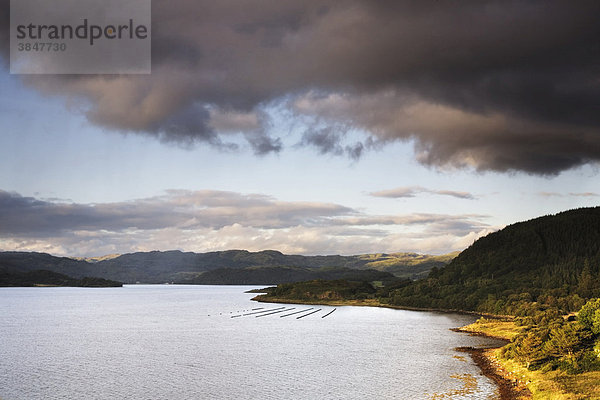 Loch Melfort  Argyll  Schottland  Großbritannien  Europa