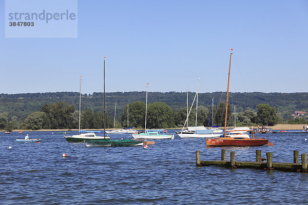 Ammersee in Dießen  Fünfseenland  Fünf-Seen-Land  Oberbayern  Bayern  Deutschland  Europa