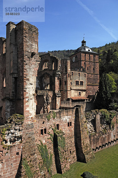 Heidelberger Schlossruine  zerstört 1689  Ruine des Bibliothek Baus  rechts der Torturm  vom Stückgarten aus gesehen  Schlosshof  Heidelberg  Baden-Württemberg  Deutschland  Europa
