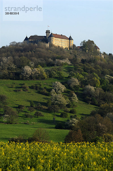 Schloss Waldenburg  1165-1172 errichtet  heutiges Aussehen seit 1912  Peniger Straße 10  Waldenburg  Baden-Württemberg  Deutschland  Europa