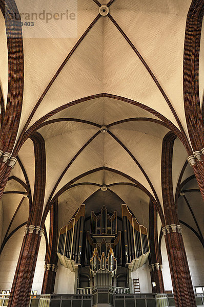 Kreuzgewölbe und Orgel derNeugotischen Christuskirche  1864 eingeweiht  Hannover  Niedersachsen  Deutschland  Europa