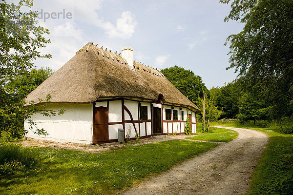 Idyllisches alte Fachwerkhaus  Den Fynske Landsby Freilichtmuseum  Odense  Dänemark  Europa